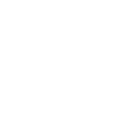 Security icon