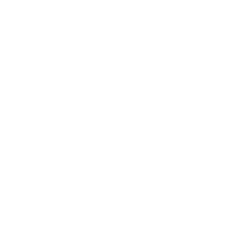 Mobile icon