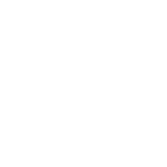 AI icon